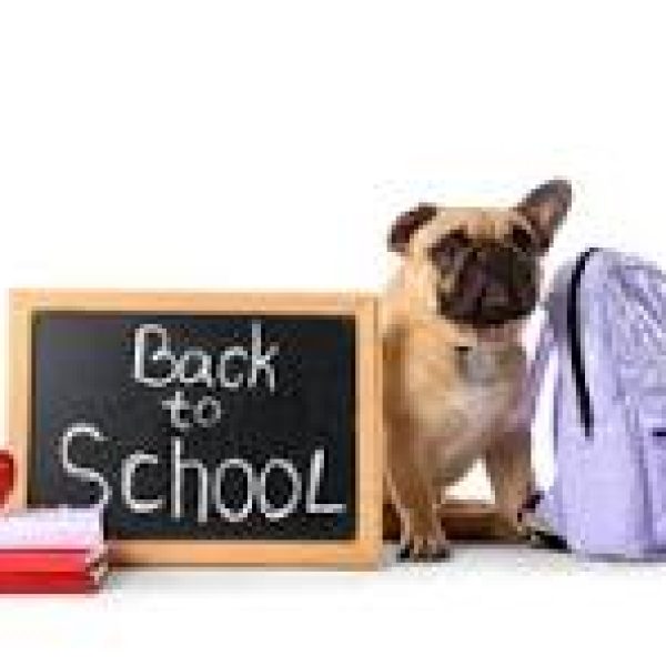 BTS