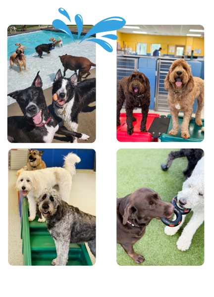 daycare collage (1080 × 1500 px)2